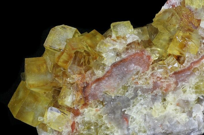 Lustrous, Yellow Cubic Fluorite Crystals - Morocco #32305